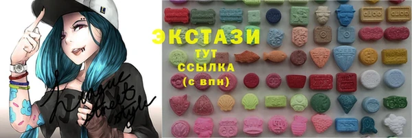 индика Армянск