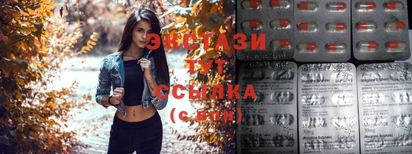 индика Армянск