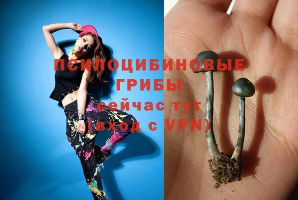 ECSTASY Струнино