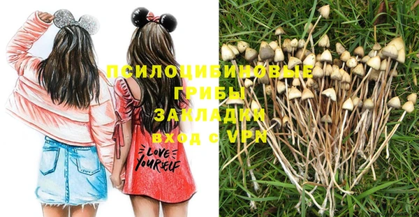 индика Армянск