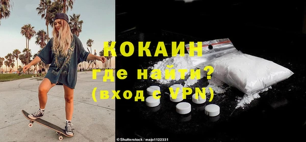 индика Армянск